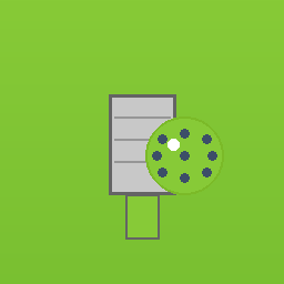 Pickleball